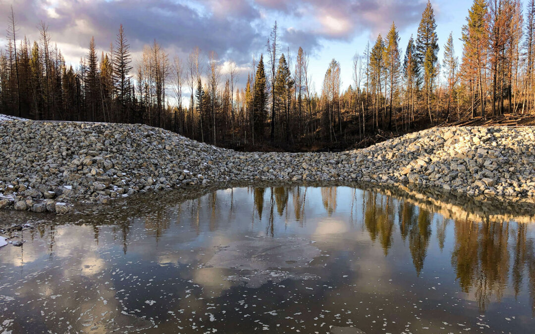 Minton Lake Dam Rehabilitation