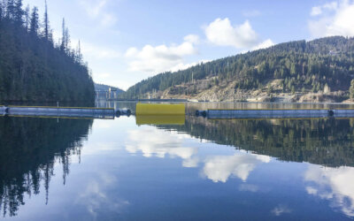 Multi-Purpose Booms in BC Hydro Reservoirs