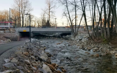 Mosquito Creek Bridge Replacement