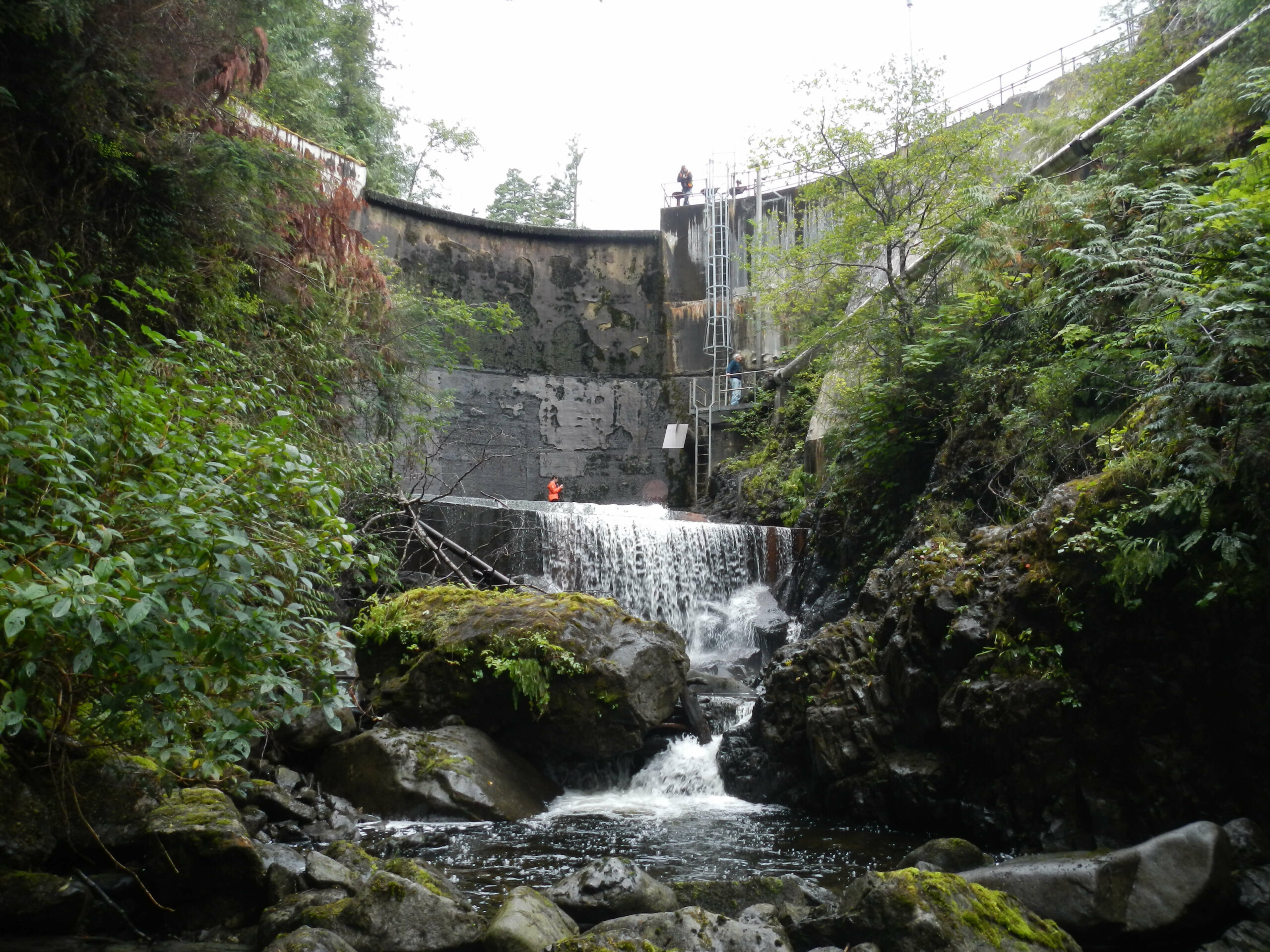 Newcastle Dam Decommissioning and Village Water Supply Intake