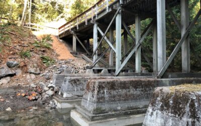 Galloping Goose Regional Trail Bridge Improvements