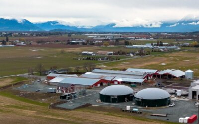 Dicklands Farm Biogas Plant