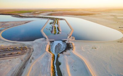 Salton Sea Species Conservation Habitat Project