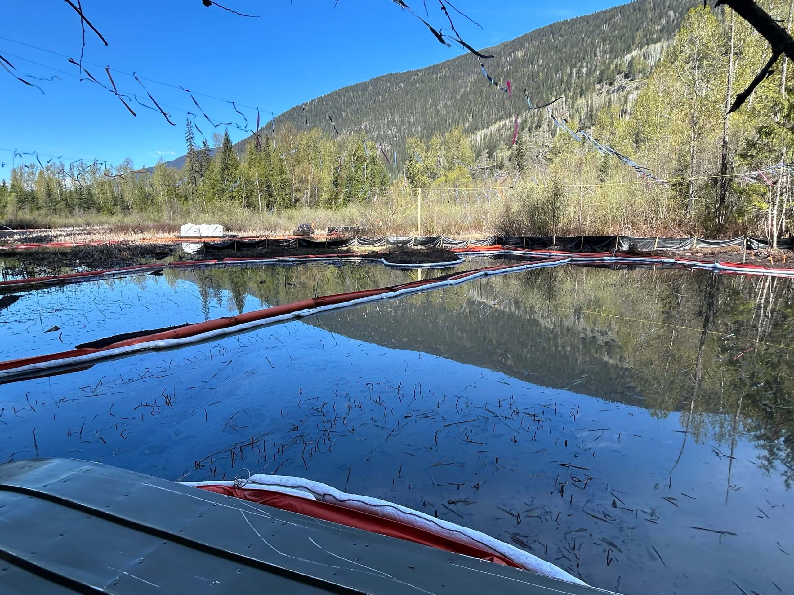 Using Net Environmental Benefit for Remediation and Recovery of a Wetland Following a Diesel Release