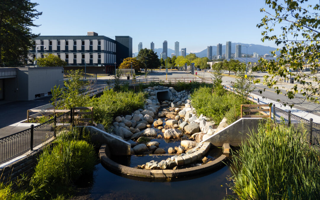 Guichon Creek Daylighting