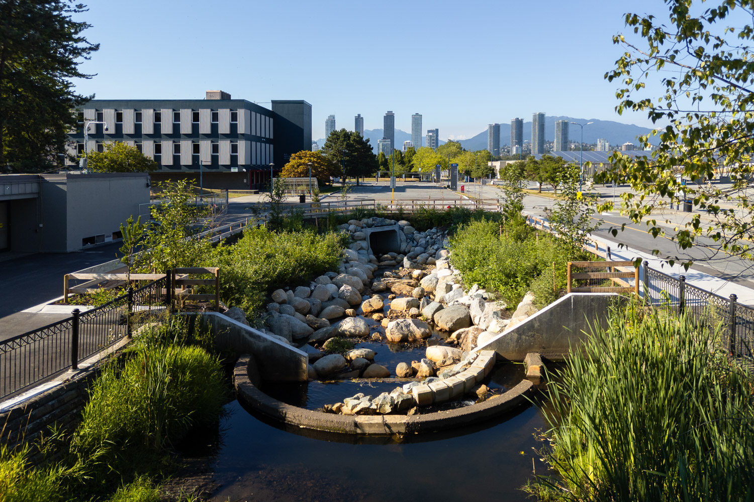 Guichon Creek Daylighting