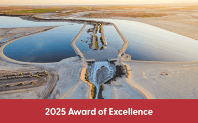 Salton Sea Species Conservation Habitat Project