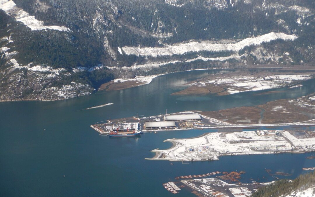 Squamish Central Estuary Restoration Project (Phase 1 and Phase 2)
