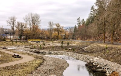 Polson Park Vernon Creek Naturalization