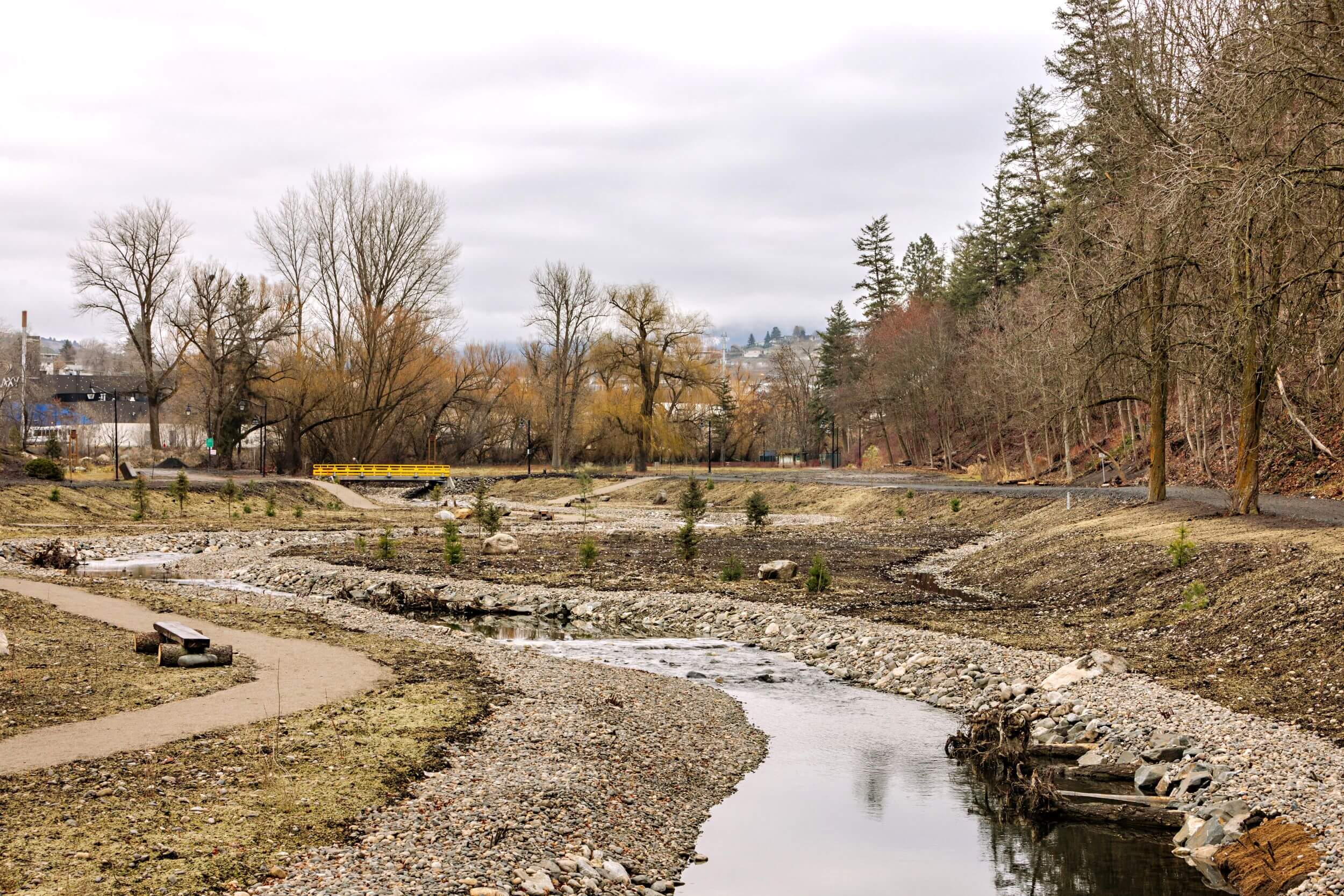 Polson Park Vernon Creek Naturalization