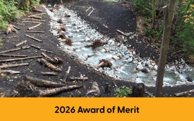 Thain Creek Slope Stabilization and Creek Enhancements
